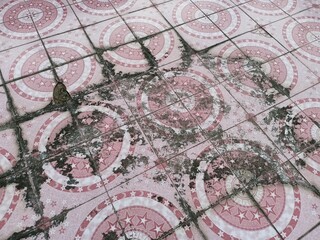 Old Decorative Floor Tiles with Mold and Cracks