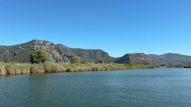A boat tour among the reeds on the Dalyan River. Ortaca, Muğla