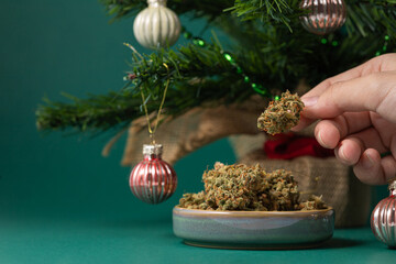 Dry medical marijuana buds in a ceramic saucer and in a woman's hand against a green background of a festively decorated Christmas tree
