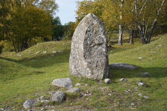 Aufgerichteter Stein auf dem Wikinger-Gr&auml;berfeld von Birka auf der Insel Bj&ouml;rk&ouml; in Schweden