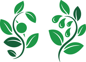 Two green plant stems with leaves and water droplets isolated on white background