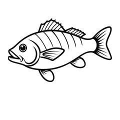 Smallmouth bass line art