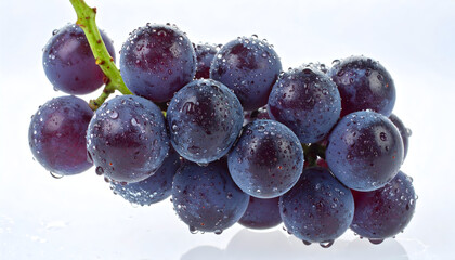 Fresh Bunch of Water Droplets Covered Black Grapes Against Light Background