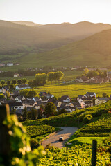 Le mont de Sigolsheim avec ses routes sinueuses sur le piémont viticole d’Alsace, CEA, Grand Est, France