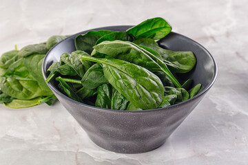 Raw green baby spinach plant