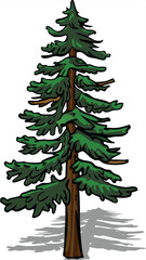 Green pine fir Christmas tree vector illustration with winter snow decoration for holiday season design