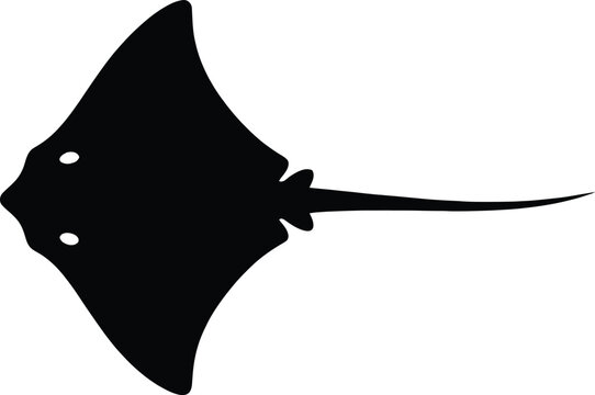 Black stingray silhouette icon isolated on transparent background