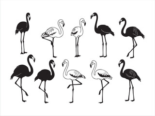 Flamingo Icons Set – Minimal Vector Art of Tropical Bird
