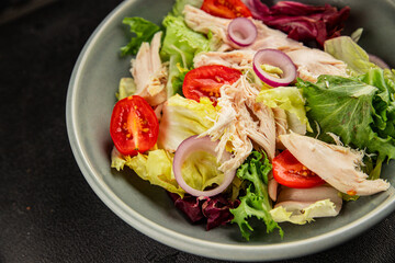 Salad chicken meat and vegetables tomato, green leaf lettuce, onion natural product tasty snack fresh delicious gourmet food background on the table rustic top view copy space keto and paleo diet