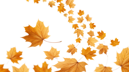 Autumn Leaves in Gentle Drift: A collection of vibrant, golden leaves dance in the breeze against a pristine backdrop, portraying the delicate beauty of autumn and the serenity of the season.