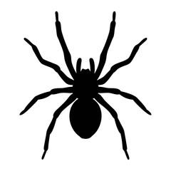 Black spider silhouette vector image for halloween decorations and creepy crawlies design projects