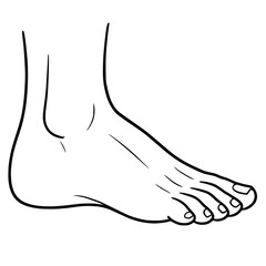 Obraz premium Human Foot Side View Anatomy Illustration in Black and White Line Art