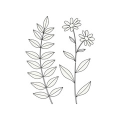 Minimalist hand drawn botanical illustration of two delicate flowers and leafy branch outline sketch vector