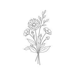Delicate line art floral bouquet sketch hand drawn wildflowers spring summer nature decorative element vector