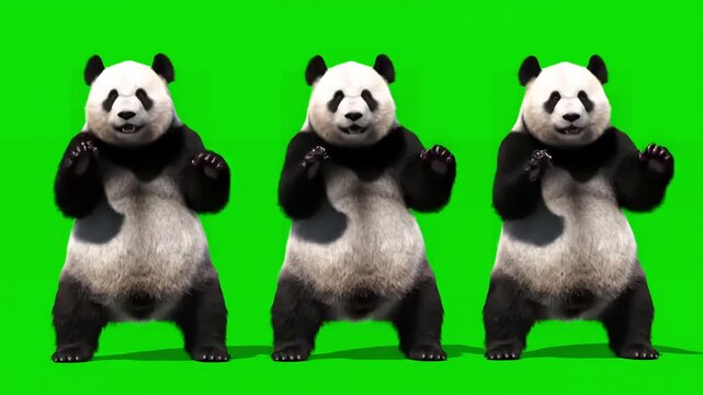 Green Screen Panda with zoo cg fur 3d rendering animal realistic cgi vfx animation loop crowd dance composition mapping cartoon alpha channel distortion, overlay, glitch, static noise, scan lines on