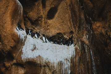 Icelandic landscapes