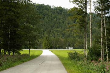 Trail Between Green Meadows with Forest in the Background