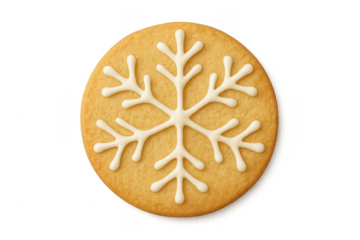 Christmas sugar cookie with white snowflake icing design