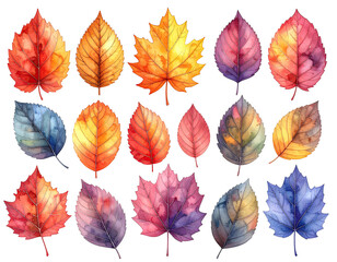 Obraz premium Watercolor illustration of colorful autumn leaves arranged on a black background