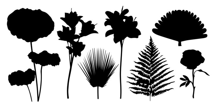 Collection of diverse floral and leaf silhouettes isolated on white background