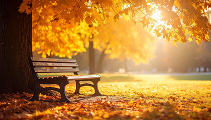bench in autumn park