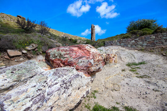 A fossilized tree trunk from the UNESCO Geopark "Petrified Forest of Sigri" on the island of Lesvos in Greece. Mytilene - Greece Lesbos fossil forest