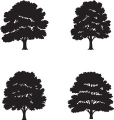 Four distinct black silhouettes of deciduous trees with full leafy canopies on a white background