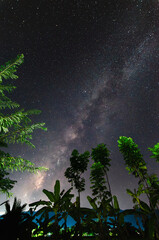 Milky Way shining, trees and mountains, starry night, space landscape with milky way, night view, travel background, concept.