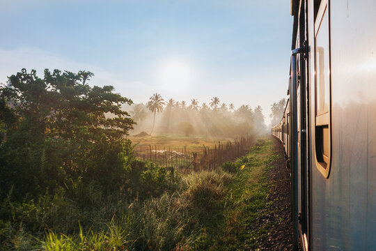 View of golden sunlight piercing through the misty landscape as seen from a train window, casting long shadows across the tracks, Kandy, Central Province, Sri Lanka. - Powered by Adobe