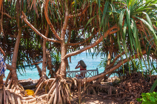 View of a woman in red attire sits on a white bench under the shade of a Pandanus tree, looking out to the turquoise ocean, Unawatuna, Southern Province, Sri Lanka.