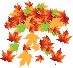 Fototapeta premium A seamless vector pattern of vibrant orange, yellow, and red maple leaves provides a perfect autumn nature background for fall design