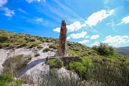 A fossilized tree trunk from the UNESCO Geopark "Petrified Forest of Sigri" on the island of Lesvos in Greece. Mytilene - Greece Lesbos fossil forest