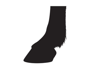 Hoof in silhouette pure white background..