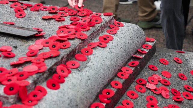 People placing red poppy flowers on the Tomb of the Unknown Soldier in Ottawa, Canada, during Remembrance Day to honor fallen soldiers and veterans.