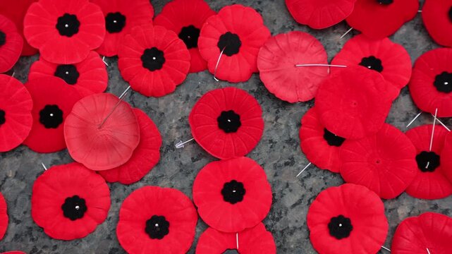 Remembrance Day with red poppy flowers on the Tomb of the Unknown Soldier in Ottawa, Canada.