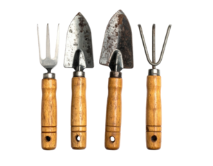 Close-up of four gardening tools a fork, two trowels, and a hand rake
