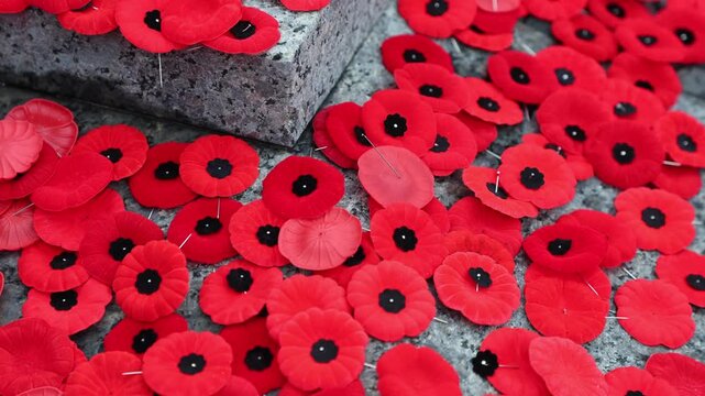 Remembrance Day, red poppy flowers on the Tomb of the Unknown Soldier in Ottawa, Canada.