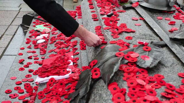 Poppy flowers on the Tomb of the Unknown Soldier in Ottawa, Canada on Remembrance Day.