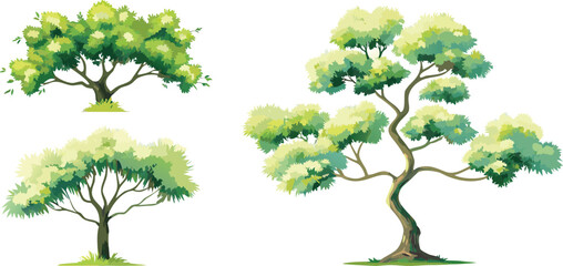 Three stylized green trees with textured foliage leaves
