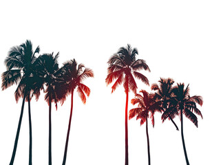 Silhouette palm trees against a gradient sky with reds and oranges, set against a pure black backdrop