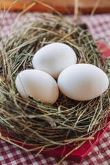 Fresh white eggs on a natural nest