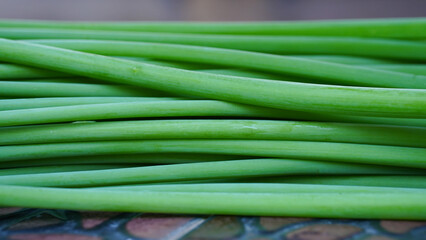 Close-up of green onion leaves.
