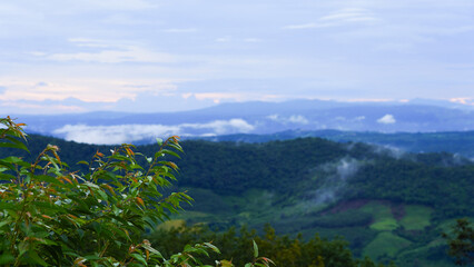 Mountain range and sea of ​​mist, tourist attractions in Hai Tak, Loei Province, Thailand