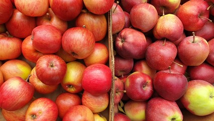 red ripe apples