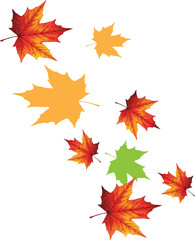A seamless pattern of colorful autumn maple leaves in orange, yellow, and red creates a vibrant fall nature background