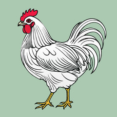 white rooster cartoon sketch vector illustration
