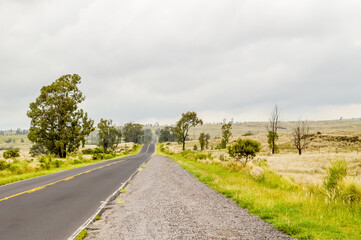Roadtrip Hawaii 
