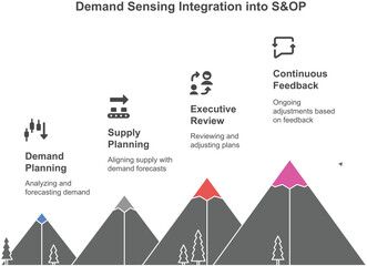 Demand sensing infographic demand sensing integration into sop