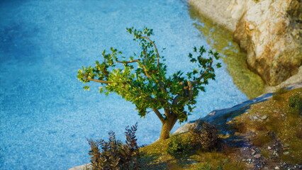A small tree stands proudly on the edge of a clear blue body of water. Rocks surround it, while gentle waves reflect the colorful twilight sky, creating a serene landscape.