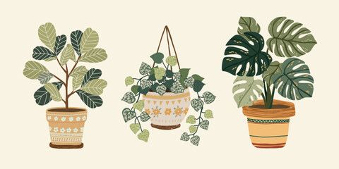 Flat cozy illustration of indoor plants 